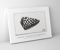 Samuel Jessurun De Mesquita - Right side of shell (Schelp, naar rechts) (1907)