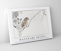 Watanabe Seitei - Two sparrows perched on a branch. Illustration from Seitei Kacho Gafu 1890-1891