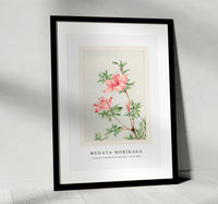 Megata Morikaga - Tsutsuji rhododendron Judicum (azalea) during 1870–1880