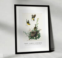 John James Audubon - Yellow-breasted Chat from Birds of America (1827)