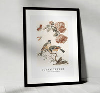 Johan Teyler - A Blue Tit and a Great Tit