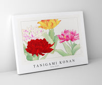 Tanigami Konan - Peony flower