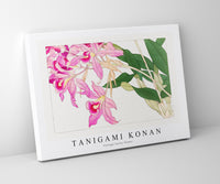 Tanigami Konan - Vintage laelia flower