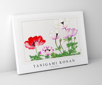Tanigami Konan - Poppy flower
