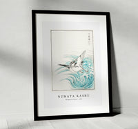 Numata Kashu - Mongolian Plover illustration from Pictorial Monograph of Birds (1885)