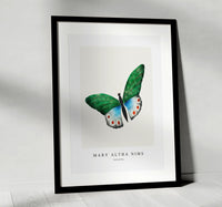Mary Altha Nims - Butterfly