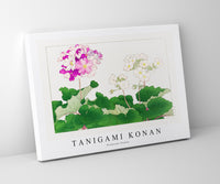 Tanigami Konan - Primrose flower