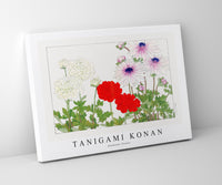 Tanigami Konan - Anemone flower