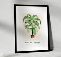 Paul de Longpre - A lithograph of Cocos Weddelliana 1875