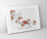 Numata Kashu - Parrot and Pyrus spectabilis illustration from Pictorial Monograph of Birds (1885)