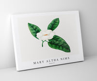 Mary Altha Nims - Magnolia