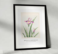 Megata Morikaga - Hana–strobel during 1870–1880