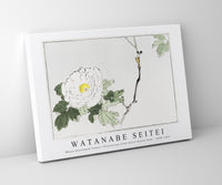 Watanabe Seitei - White blossomed flower. Illustration from Seitei Kacho Gafu 1890-1891