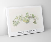 Joseph august Knip - Studie van bladeren (study of leaves)