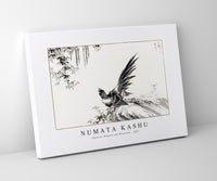 Numata Kashu - Japanese Magpie and Waterfall illustration from Pictorial Monograph of Birds (1885)