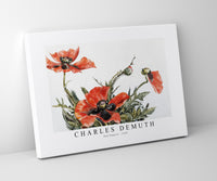 Charles demuth - Red Poppies-1929