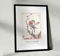 Numata Kashu - Pine Bunting and Plum Tree illustration from Pictorial Monograph of Birds