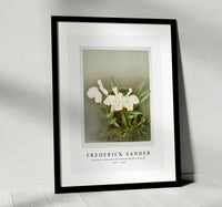 Frederick Sander - Cattleya trianæ alba from Reichenbachia Orchids-1847-1920