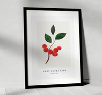 Mary Altha Nims - Siberian apple