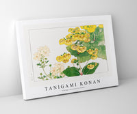 Tanigami Konan V intage calceolaria flower