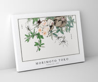 Morimoto Toko - Pomegranate illustration from Churui Gafu (1910)