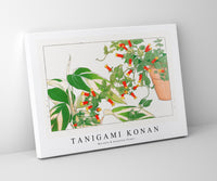 Tanigami Konan - Maranta & manettia flower