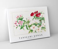 Tanigami Konan - Vintage godetia flower