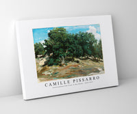 Camille Pissarro - Fontainebleau Oak Trees at Bas-Bréau 1832-1833