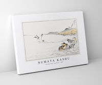 Numata Kashu - Falcated Teal and Reed illustration from Pictorial Monograph of Birds (1885)