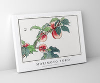 Morimoto Toko - Caterpillar on a peach tree illustration from Churui Gafu (1910)