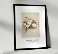 Frederick Sander - Coelogyne cristata maxima from Reichenbachia Orchids-1847-1920