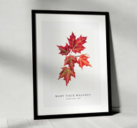 Mary Vaux Walcott - Autumn Leafes  (1874)