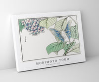 Morimoto Toko - Moth and plant illustration from Churui Gafu (1910)