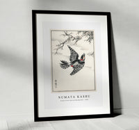 Numata Kashu - Hondo Great Spotted Woodpecker illustration from Pictorial Monograph of Birds (1885)