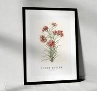 Johan Teyler - Six carnations