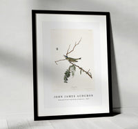 John James Audubon - Red-eyed Vireo from Birds of America (1827)