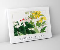 Tanigami konan - Clerodendrum & rudbeckia flower