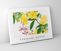 Tanigami Konan - Vintage clarkia & allamanda flower