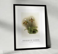 Frederick Sander - Cypripedium lathamianum inversum from Reichenbachia Orchids-1847-1920