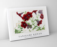 Tanigami Konan - Matricaria & salpiglossis flower