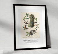 John James Audubon - Chesnut-backed Titmouse, Black-capt Titmouse and Chesnut-crowned Titmouse(1827)