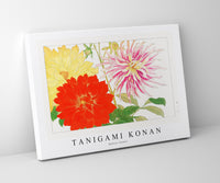 Tanigami Konan - Dahlia flower