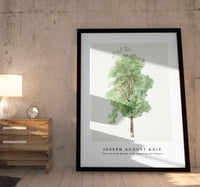 Joseph August Knip - Tall tree from Bomen in de omgeving van Subiaco (trees in the Subiaco area)