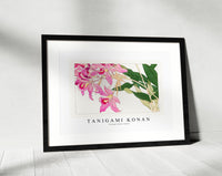 Tanigami Konan - Vintage laelia flower