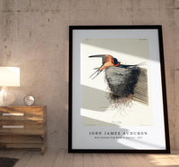 John James Audubon - Barn Swallow from Birds of America (1827)
