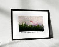 abbott handerson thayer - Roseate Spoonbill-1905-1909