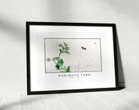 Morimoto Toko - Fireflies illustration from Churui Gafu (1910)