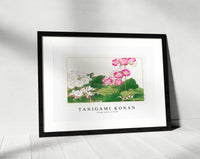 Tanigami Konan - Vintage primrose flower