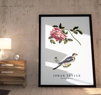 Johan Teyler - Rose and a Parakeet