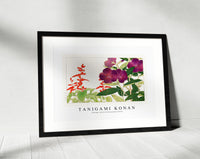 Tanigami Konan - Vintage salvia & melastoma flower